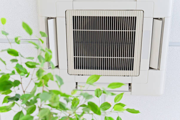 Best Ventilation Cleaning Services  in Steele Creek, AK